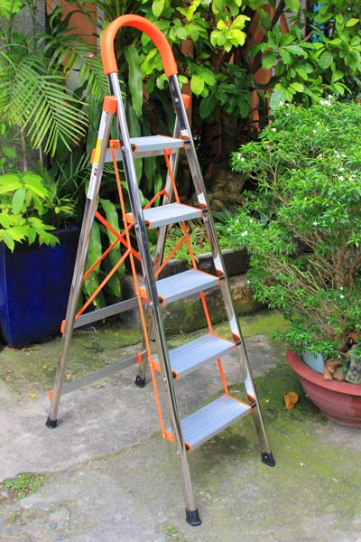 Thang ghế tay vịn bậc lớn NIKITA IN05