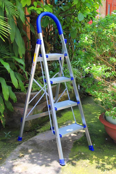 Thang nhôm ghế tay vịn kiểu Đức NIKITA DL04