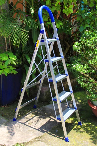 Thang nhôm ghế tay vịn kiểu Đức NIKITA DL05