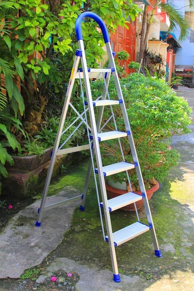 Thang nhôm ghế tay vịn kiểu Đức NIKITA DL06